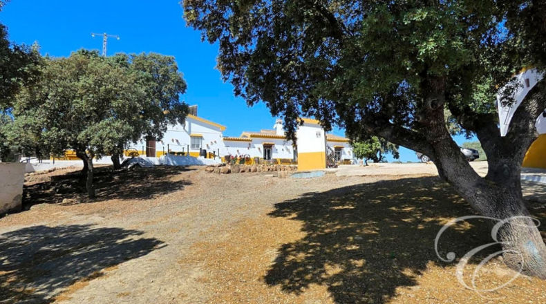 Málaga - Archidona - 13283m2