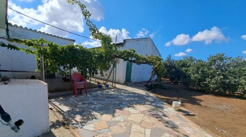 Cádiz - Jerez de la Frontera - 15495m2
