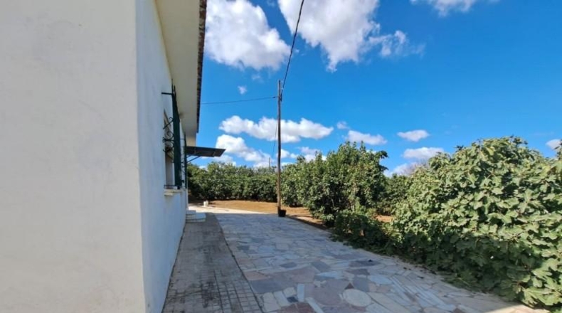 Cádiz - Jerez de la Frontera - 15495m2