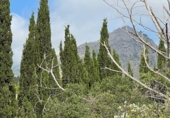 Sòl urbà en venda a la España, Polop, ref.: TR118799 foto