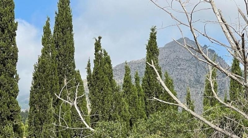 Alicante - Polop - 4300m2