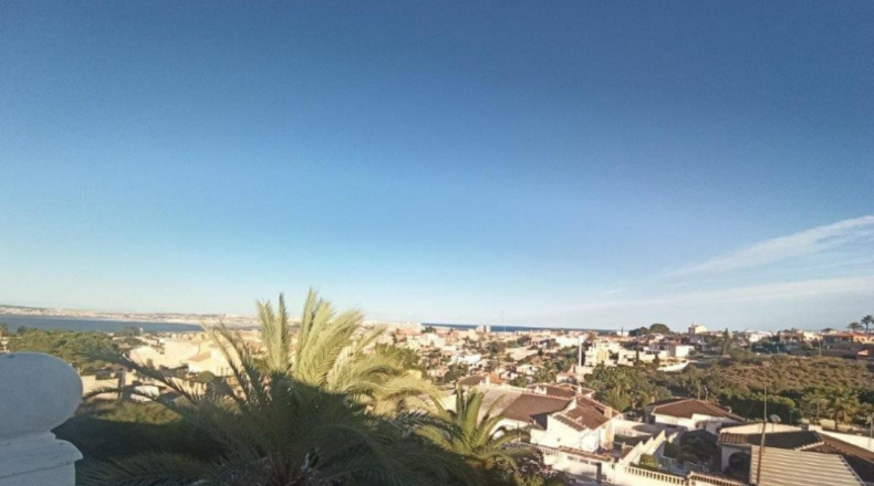Alicante - Torrevieja - 1000m2