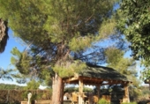 Xalet independent amb terreny en venda a la España, Puçol, ref.: TR142796 foto