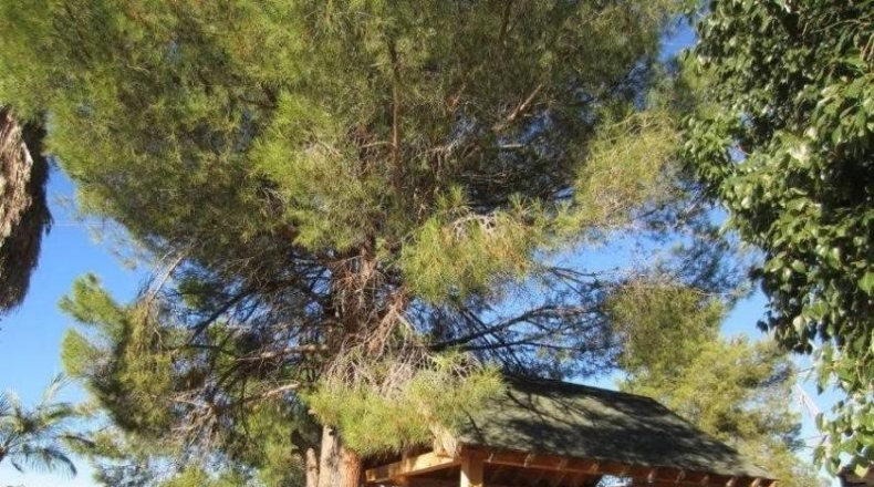 Valencia - Puzol - 1025m2