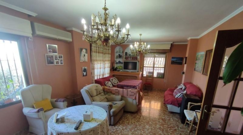 Córdoba - Córdoba - 3937m2