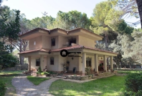 Альбасете 10000&nbsp;м²
