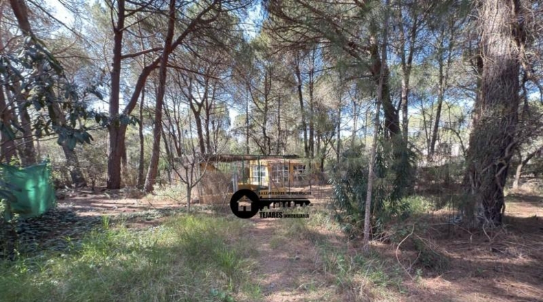 Albacete - Albacete - 10000m2