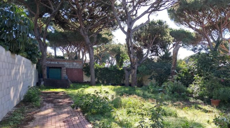 Кадис - Chiclana de la Frontera - 600m2