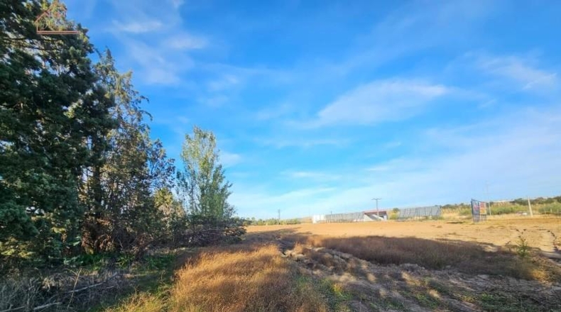 Comunidad de Madrid - Humanes de Madrid - 23000m2