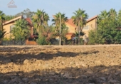 Terreny no urbanitzable en venda a la España, Humanes de Madrid, ref.: TR371708 foto