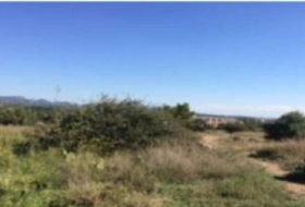 Bétera 4469&nbsp;m² 