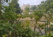 Xalet independent amb terreny en venda a la España, l'Alfàs del Pi, ref.: TR141809 foto
