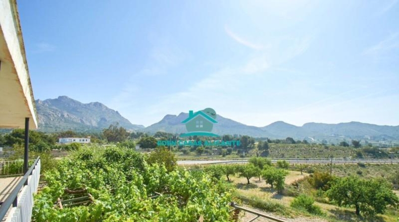 Alicante - Busot - 12500m2