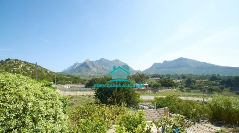 Alicante - Busot - 12500m2