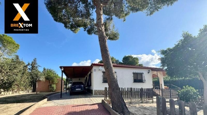 Murcia - Molina de Segura - 1569m2