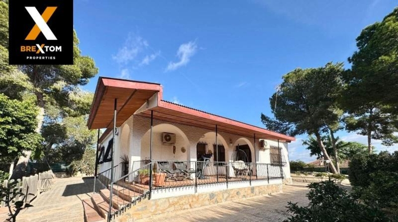 Murcia - Molina de Segura - 1569m2