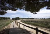Xalet independent amb terreny en venda a la España, Torrevella, ref.: TR249185 foto