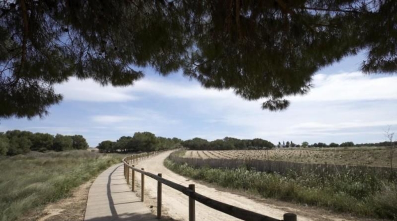 Alicante - Torrevieja - 247m2