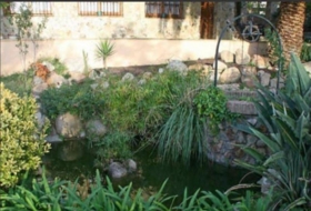 Foto 14