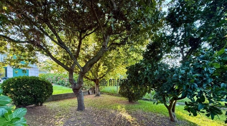 Pontevedra - Darbo - 399m2
