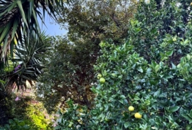 Cangas 399&nbsp;m² 