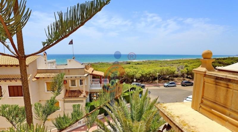 Alicante - Guardamar del Segura - 261m2