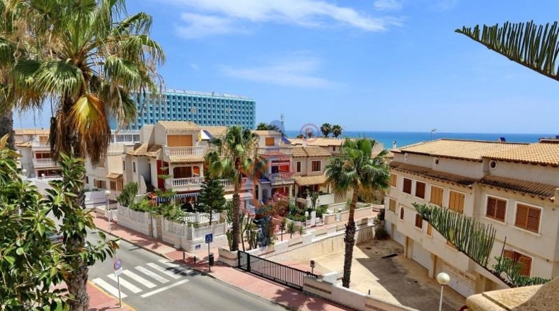 Alicante - Guardamar del Segura - 261m2