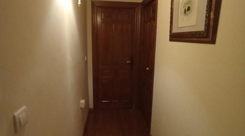 Málaga - Álora - 3700m2