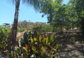 Casa de camp amb terreny en venda a la España, Álora, ref.: TR239346 foto