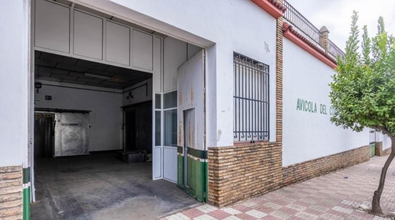 Huelva - Bollullos Par del Condado - 1160m2