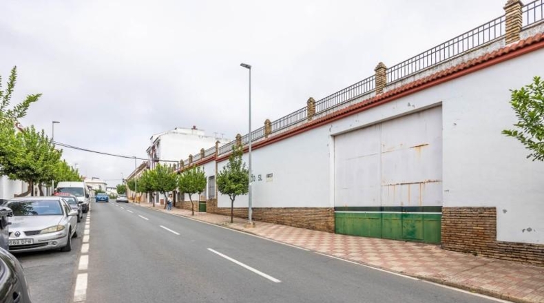 Huelva - Bollullos Par del Condado - 1160m2
