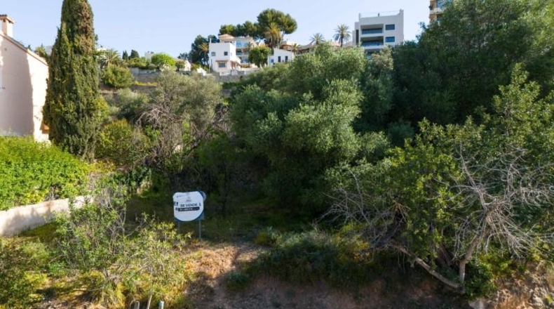 Balearic Islands - Palma - 1m2