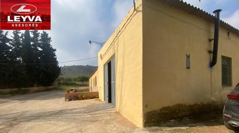 Murcia - Fuente Álamo de Murcia - 43000m2