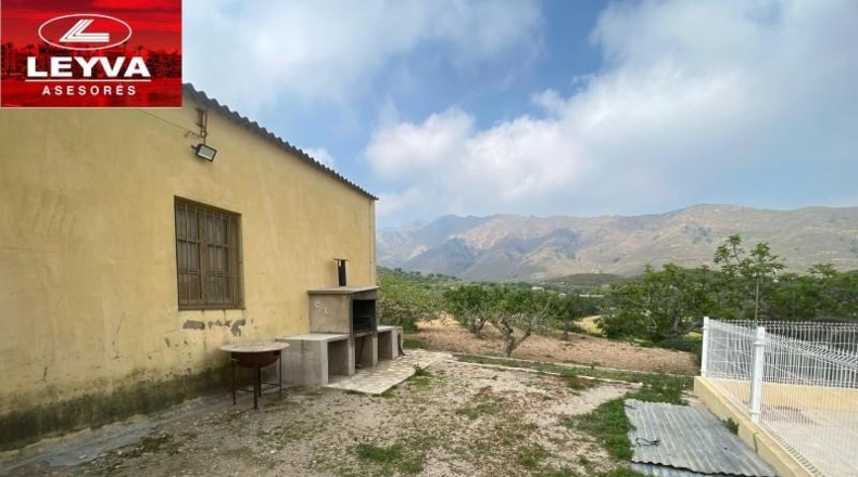 Murcia - Fuente Álamo de Murcia - 43000m2