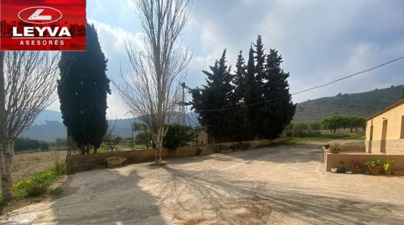 Murcia - Fuente Álamo de Murcia - 43000m2