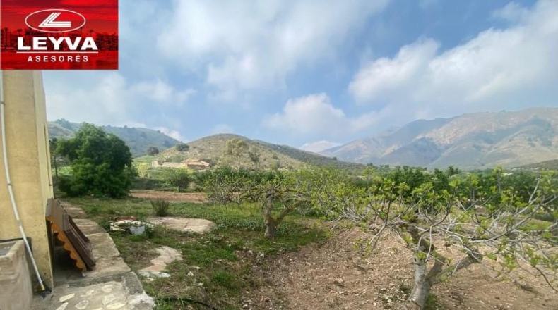 Murcia - Fuente Álamo de Murcia - 43000m2