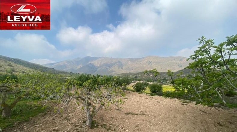 Murcia - Fuente Álamo de Murcia - 43000m2