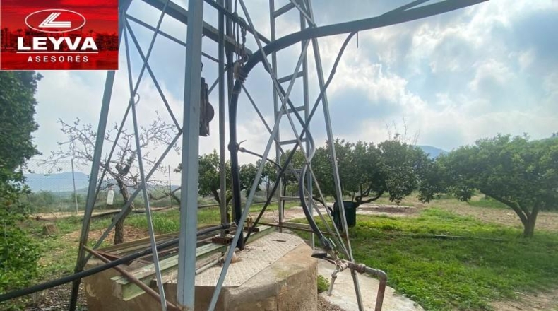 Murcia - Fuente Álamo de Murcia - 43000m2