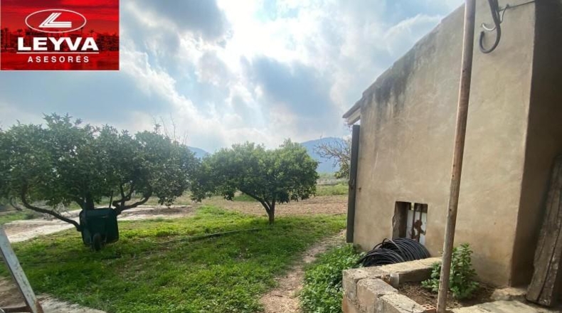 Murcia - Fuente Álamo de Murcia - 43000m2
