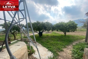 Foto 19