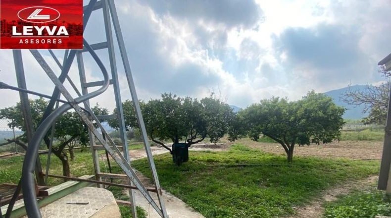 Murcia - Fuente Álamo de Murcia - 43000m2