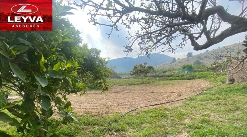 Murcia - Fuente Álamo de Murcia - 43000m2