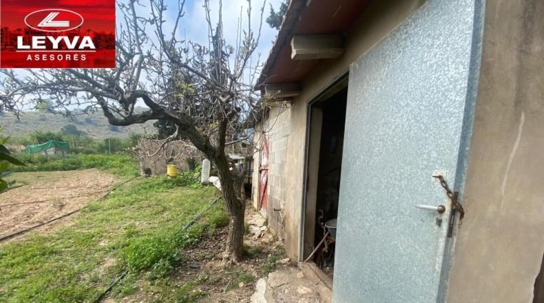 Murcia - Fuente Álamo de Murcia - 43000m2
