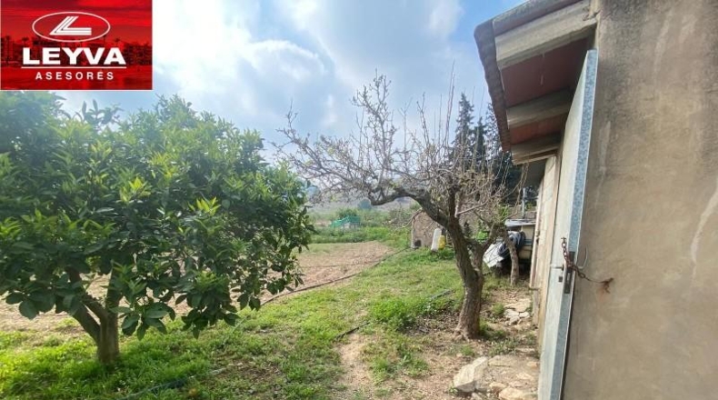 Murcia - Fuente Álamo de Murcia - 43000m2