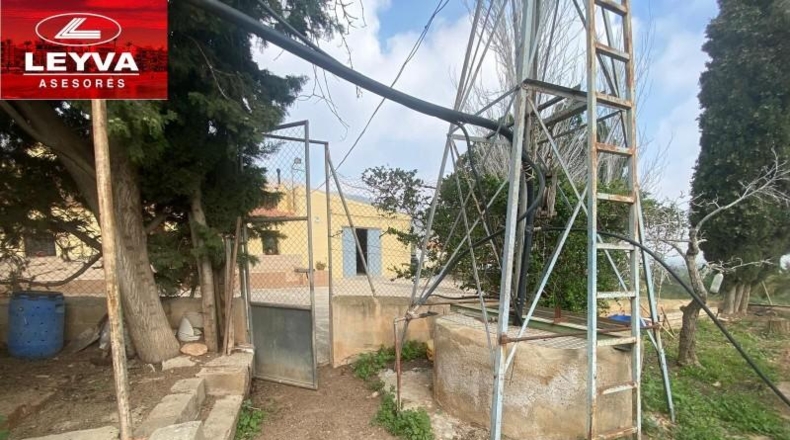 Murcia - Fuente Álamo de Murcia - 43000m2
