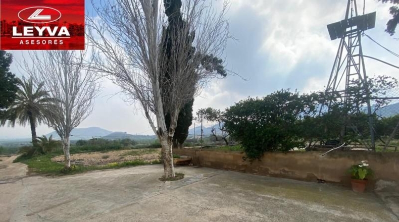 Murcia - Fuente Álamo de Murcia - 43000m2