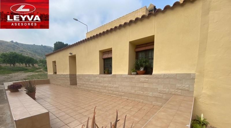 Murcia - Fuente Álamo de Murcia - 43000m2