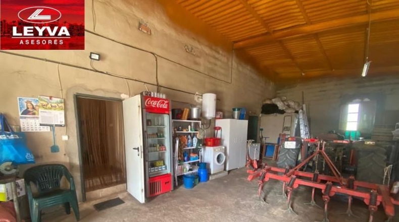 Murcia - Fuente Álamo de Murcia - 43000m2