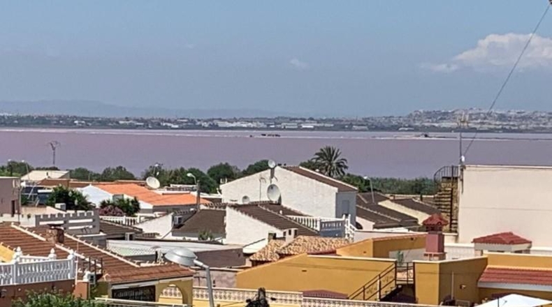 Alicante - Торревьеха - 1000m2
