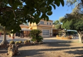 Xalet independent amb terreny en venda a la España, Elx, ref.: TR347621 foto